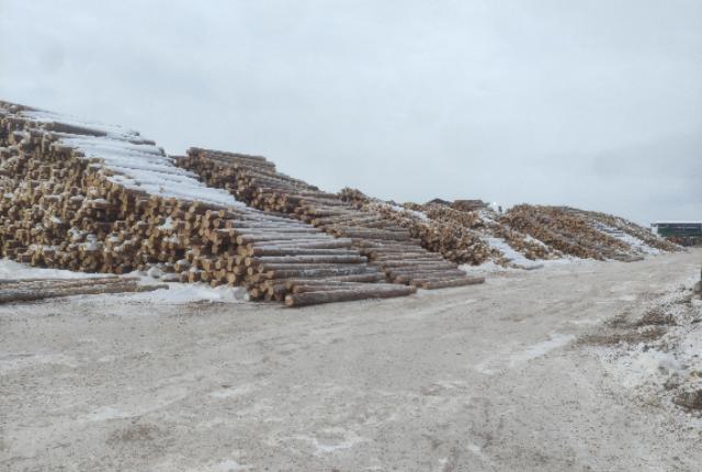 События января 2026